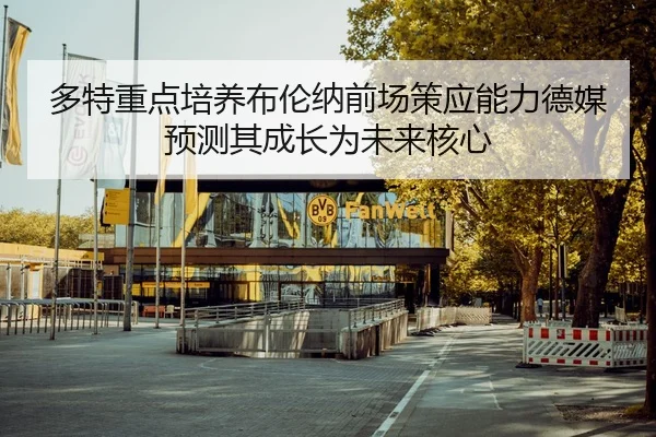 多特重点培养布伦纳前场策应能力德媒预测其成长为未来核心